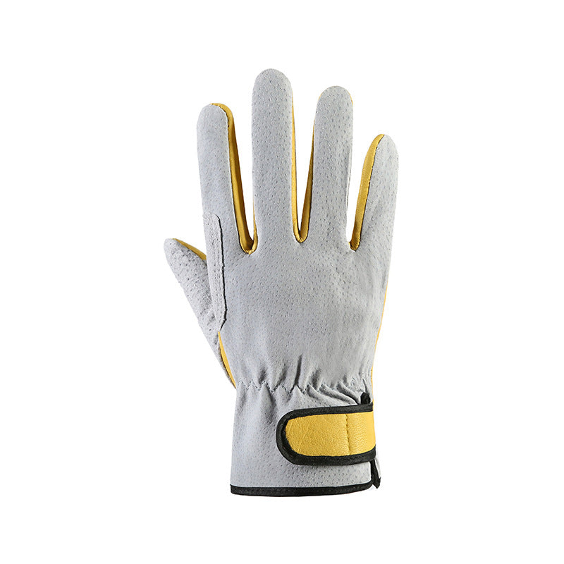 b9e009e3a4f3a88e8021a3b2cd1af6b2