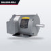 Baldor-Reliance M3534 – Baldor Reliance Motor