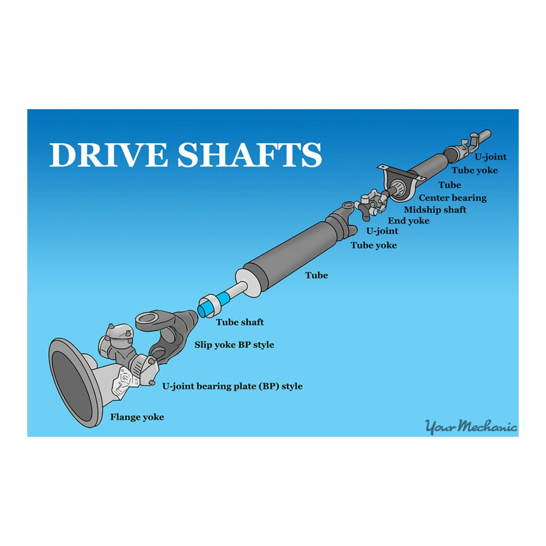 Bearing – Drive Shaft