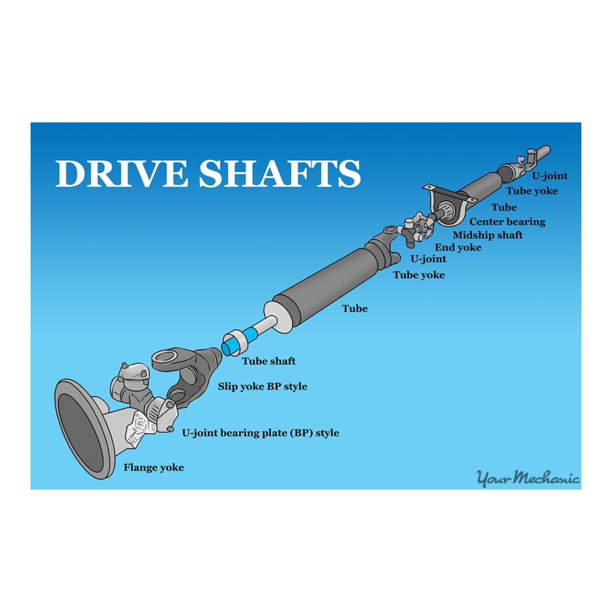 Bearing – Drive Shaft
