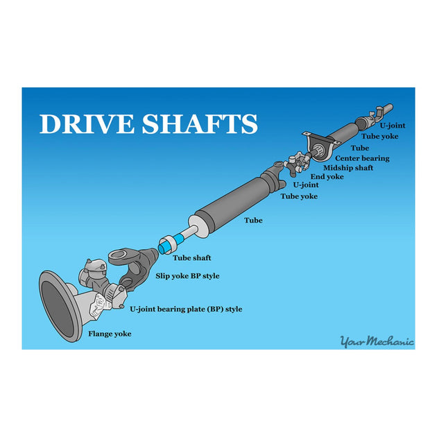 Bearing – Drive Shaft