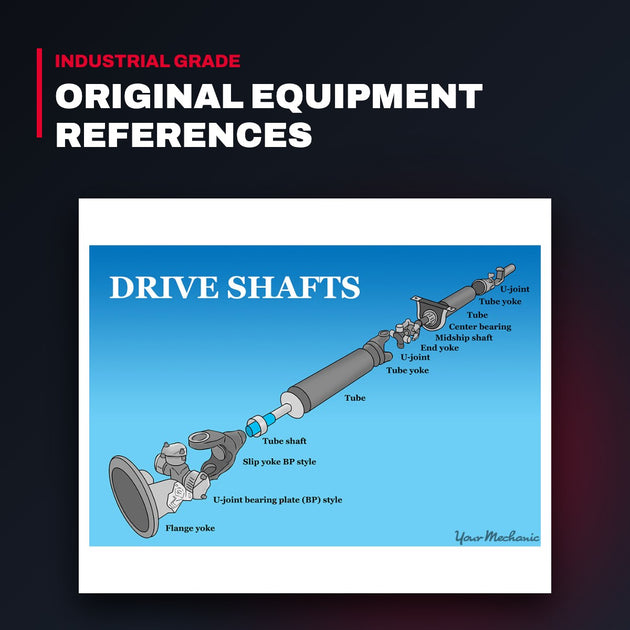 Bearing – Drive Shaft