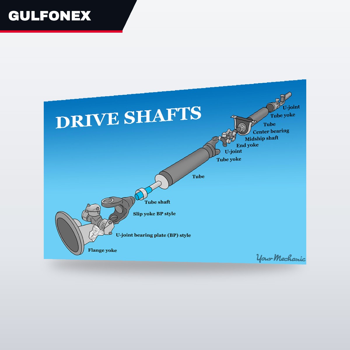 Bearing – Drive Shaft