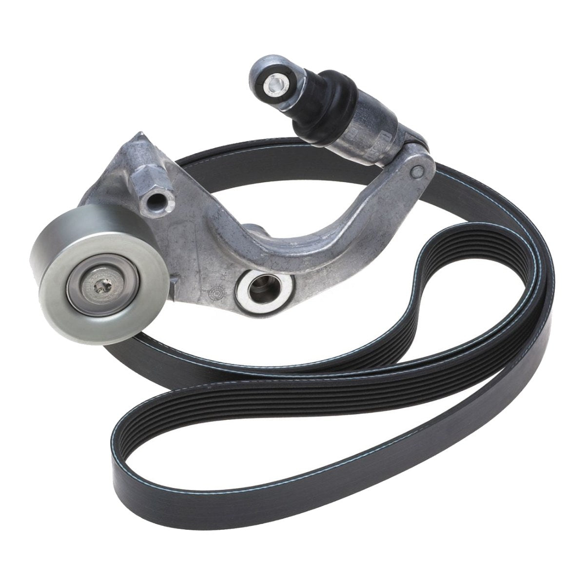 Blt-Drv – V,Met,Pl Cord,Npr,C 81,22Mm,Wrpd