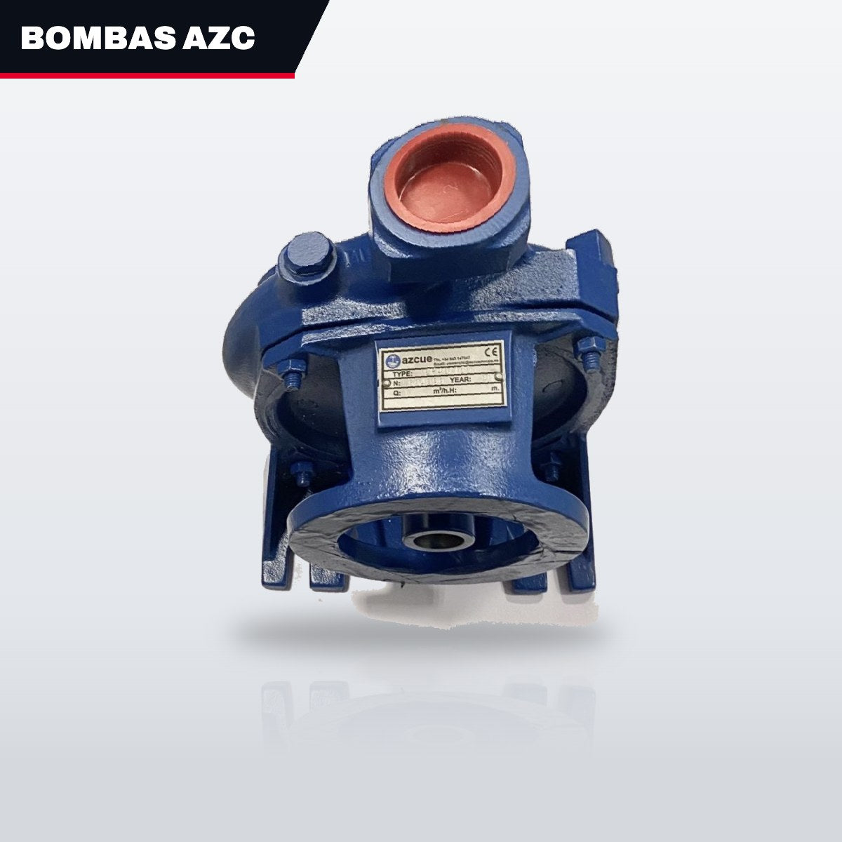 Azcue Pumps – Grease Nipple