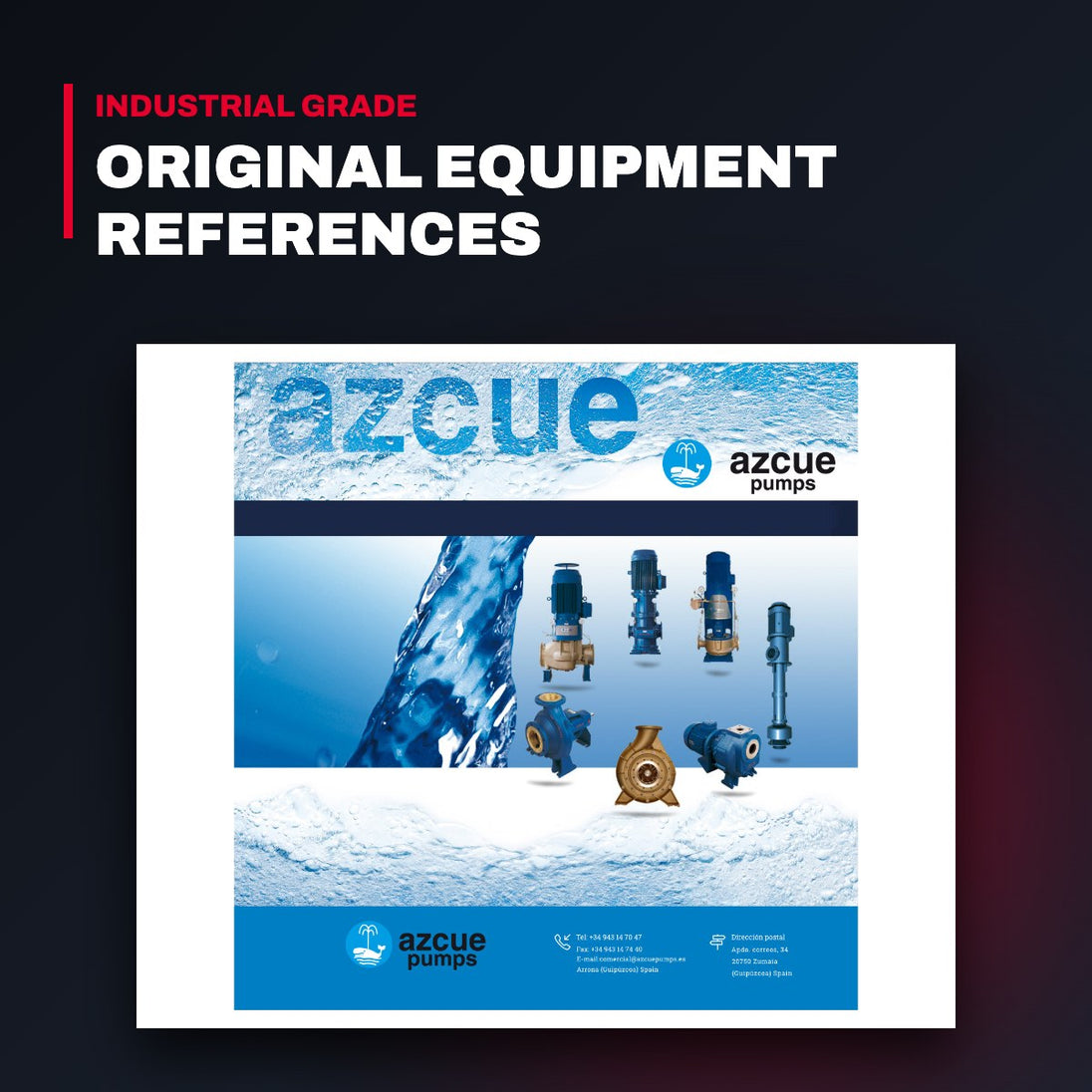 Azcue Pumps – Circlip Clip
