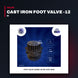 Cast Iron Foot Valve -12 "