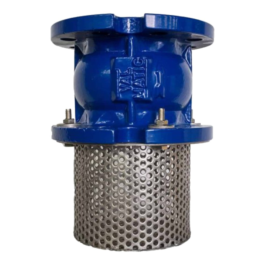Cast Iron Foot Valve -2 "