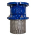 Cast Iron Foot Valve -2 "