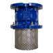 Cast Iron Foot Valve 2 "