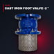 Cast Iron Foot Valve -2 "