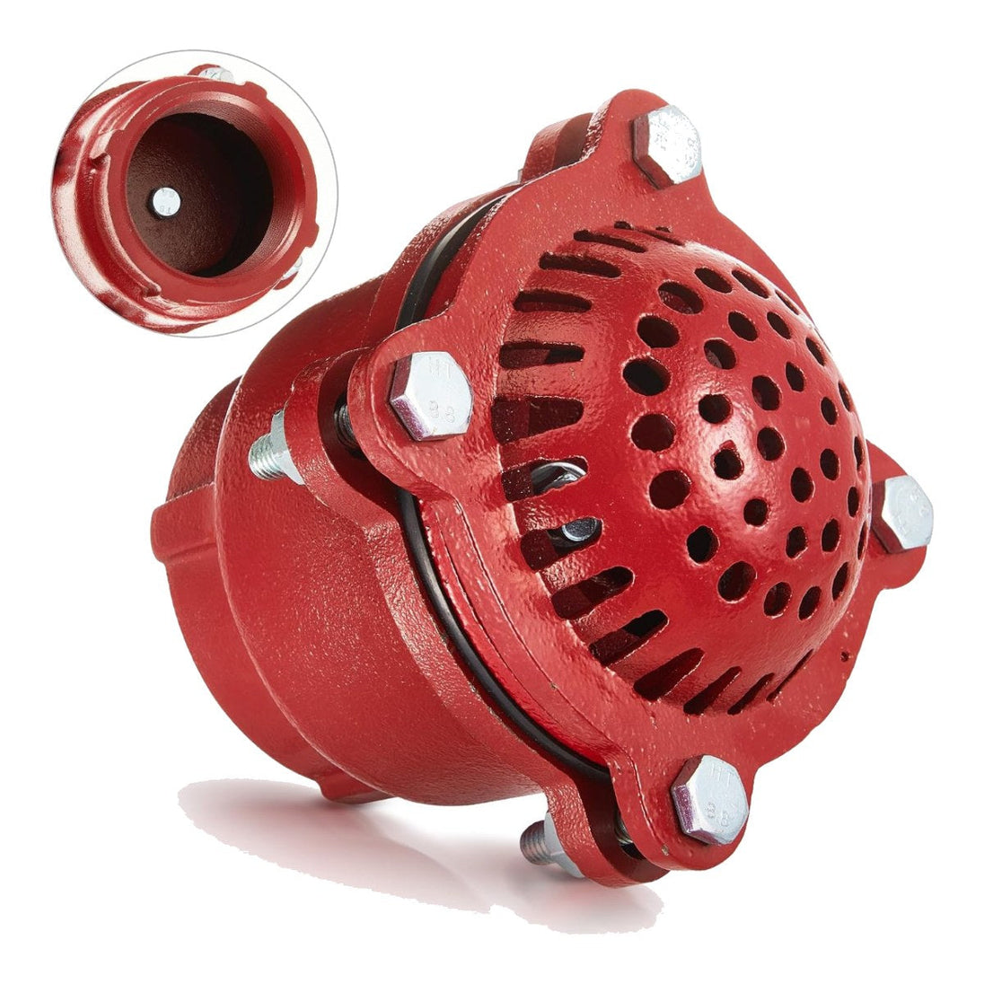 Cast Iron Foot Valve 3 "