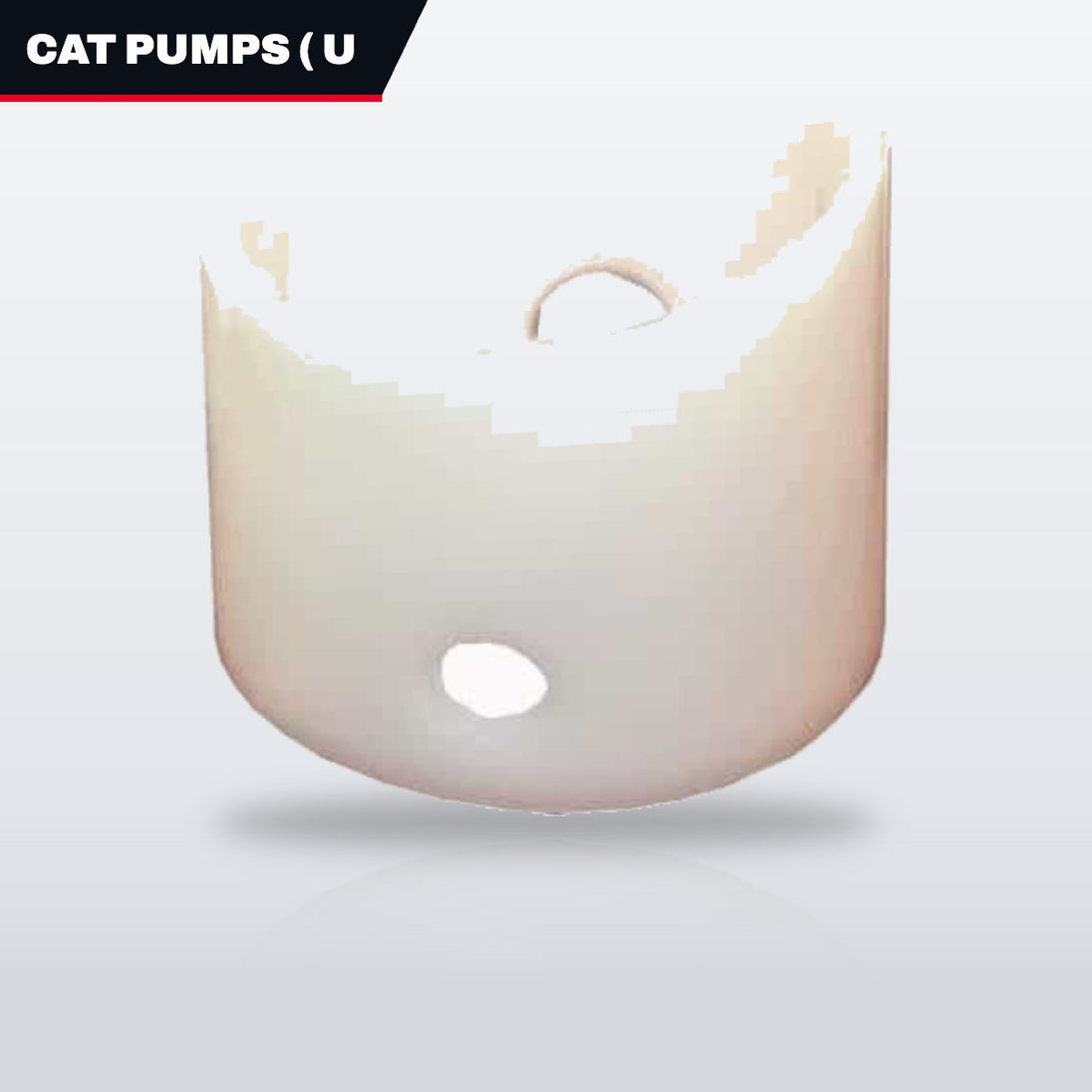 Cat Pumps ( Us - N.E. Minneapolis 5002622533 – Retainer – Spg Dm Pvdf Type