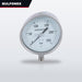 Gauge – Pressure Type, 0 To 250 Bar Range