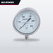 Gauge – Pressure Type, 0 To 250 Bar Range