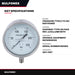 Gauge – Pressure Type, 0 To 250 Bar Range