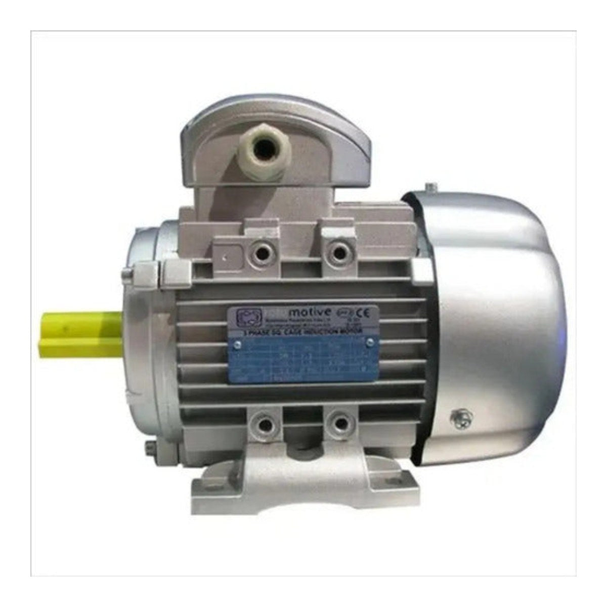 Hyosung OTHERS – Vertical Electric Motor