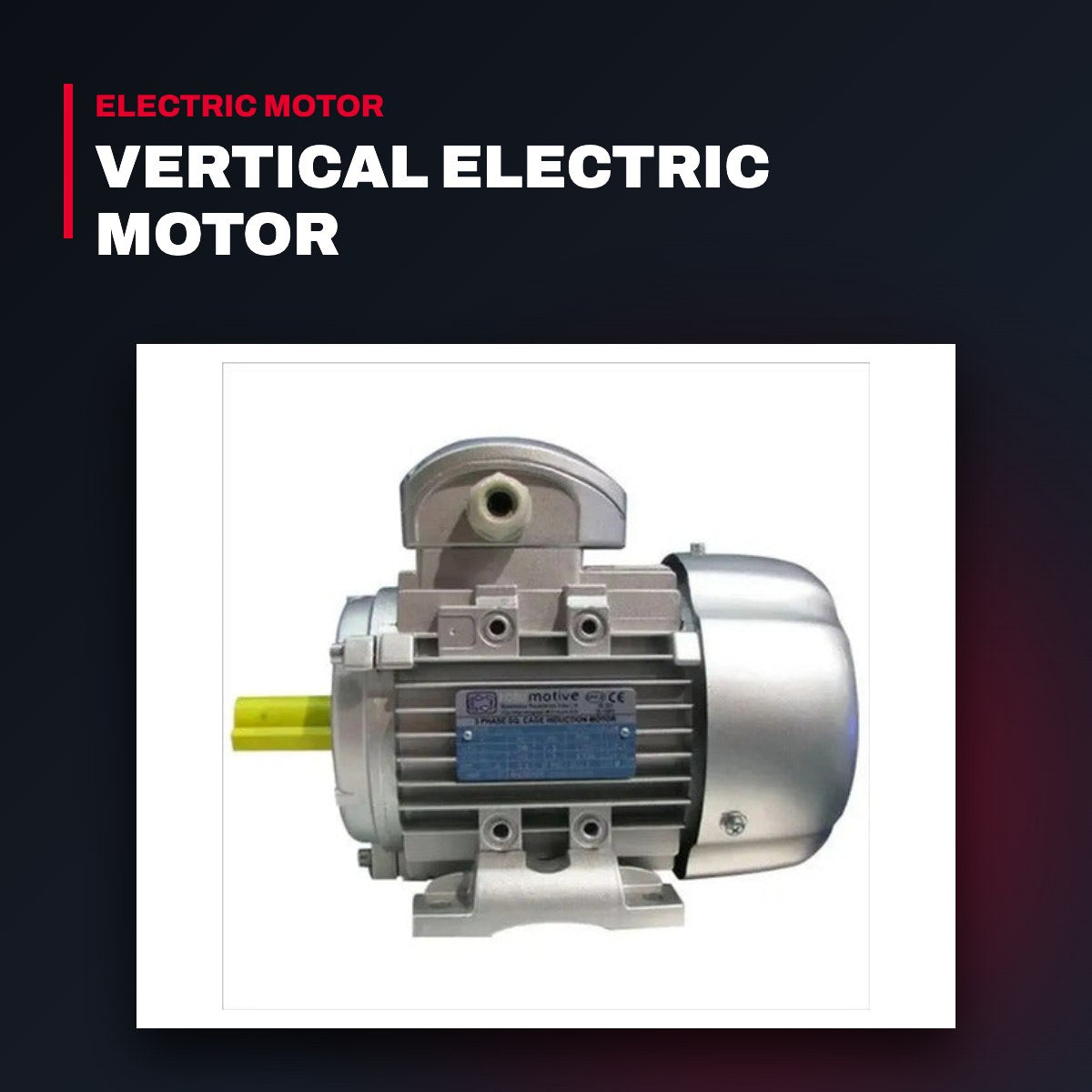 Hyosung OTHERS – Vertical Electric Motor