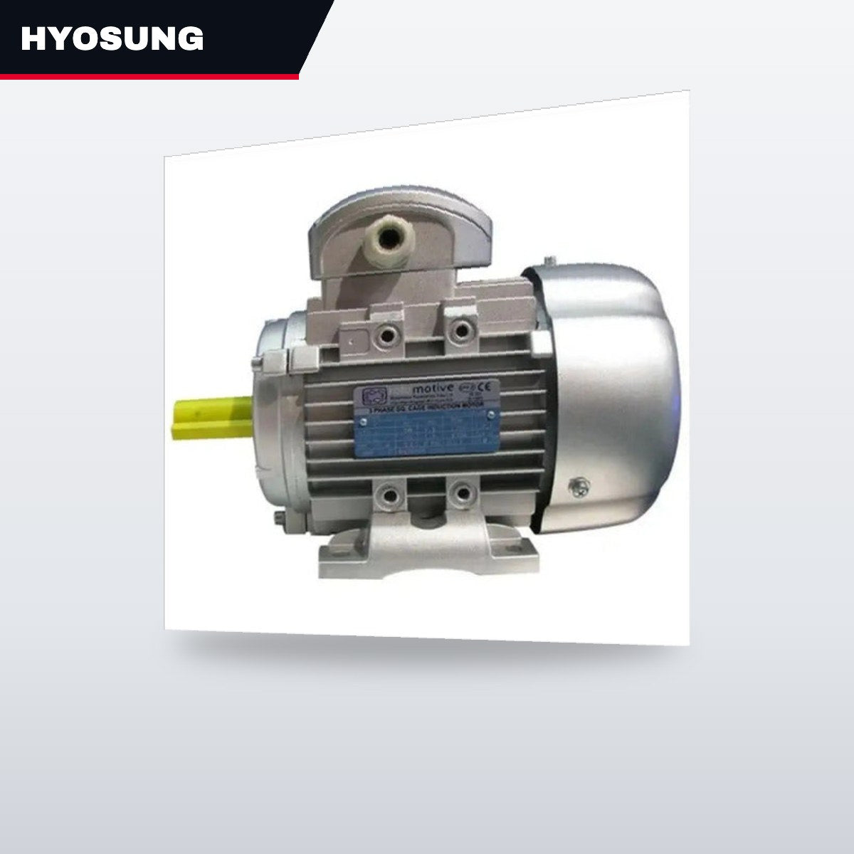 Hyosung OTHERS – Vertical Electric Motor