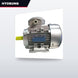 Hyosung OTHERS – Vertical Electric Motor