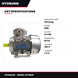 Hyosung OTHERS – Vertical Electric Motor