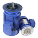 Johnkeans JK-PU-2009 – Johnkeans JK- GH28-250W-105S – Coaxial Geared Asynchronous Three Phase Motor Vertical With Ratio – 205, 2 I