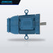 Johnkeans JK-GS-2017 – Three Phase Squirrel Cage Induction Motor 2.2 kW