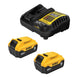 Lithiomion OTHERS – 20V Max* 5.0Ah Starter Kit With 2 Batteries