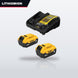 Lithiomion OTHERS – 20V Max* 5.0Ah Starter Kit With 2 Batteries