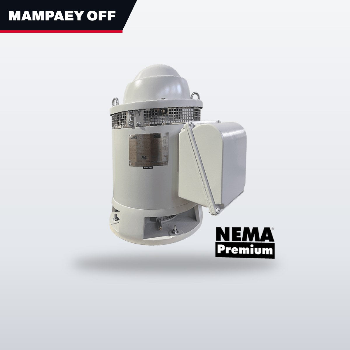 Mampaey Offshore MOTR70101011 – Motor Induction – 11.8 Kw (15 Hp) Power, 1800 Rpm Rpm