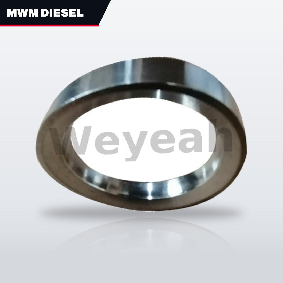 Mwm Diesel Und Gastechnik 04078247 – Insert – Valve Seat Type