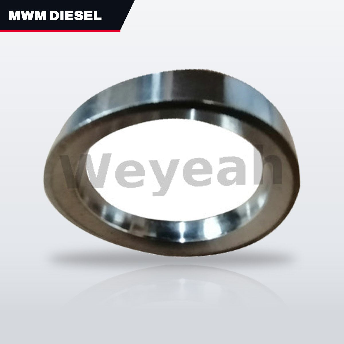 Mwm Diesel Und Gastechnik 04078247 – Insert – Valve Seat Type