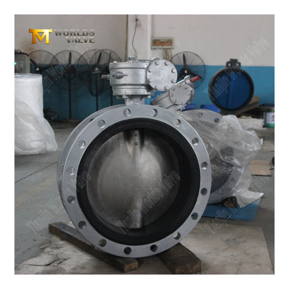 Rache Process OTHERS – Butterfly Valve Double Flange Butterfly Valve Dn500Mm (20) – Disc Ab2