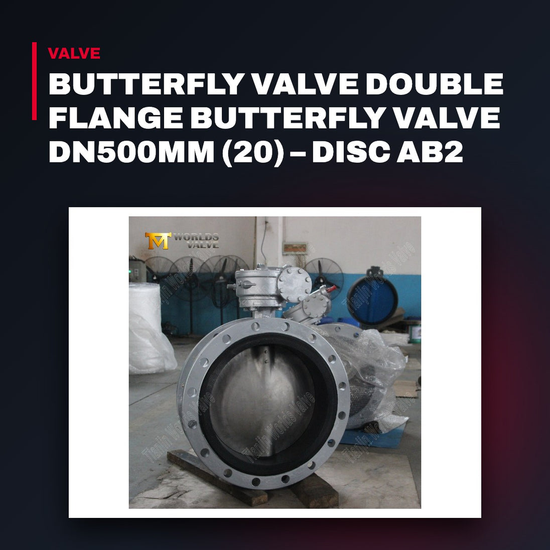 Rache Process OTHERS – Butterfly Valve Double Flange Butterfly Valve Dn500Mm (20) – Disc Ab2