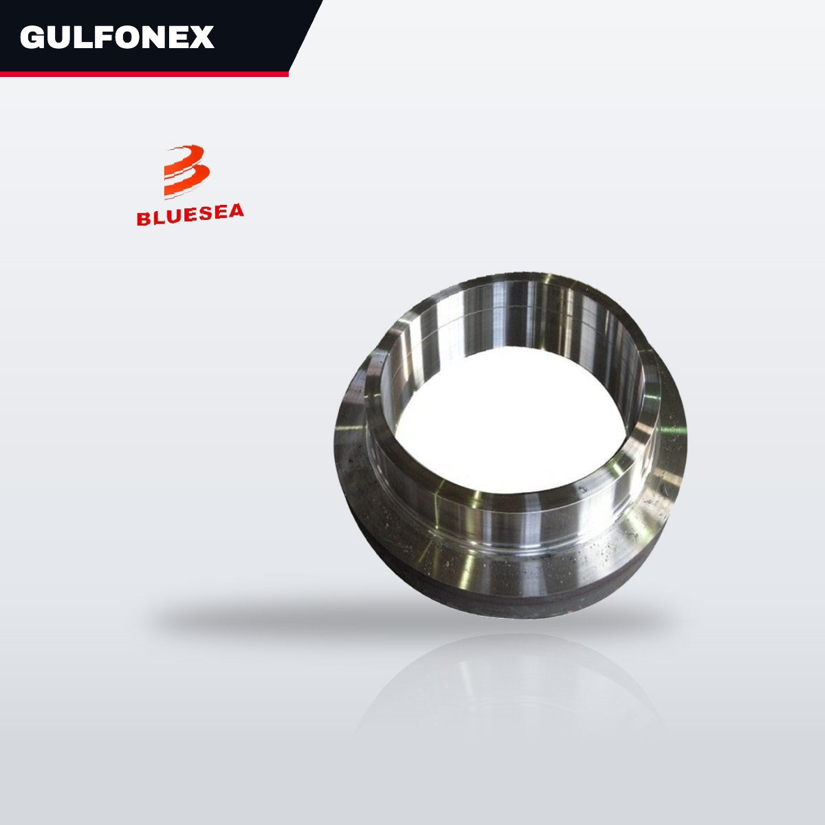 Rng-Oem Part – Pmp,Csg,Astm A276 Typ 420