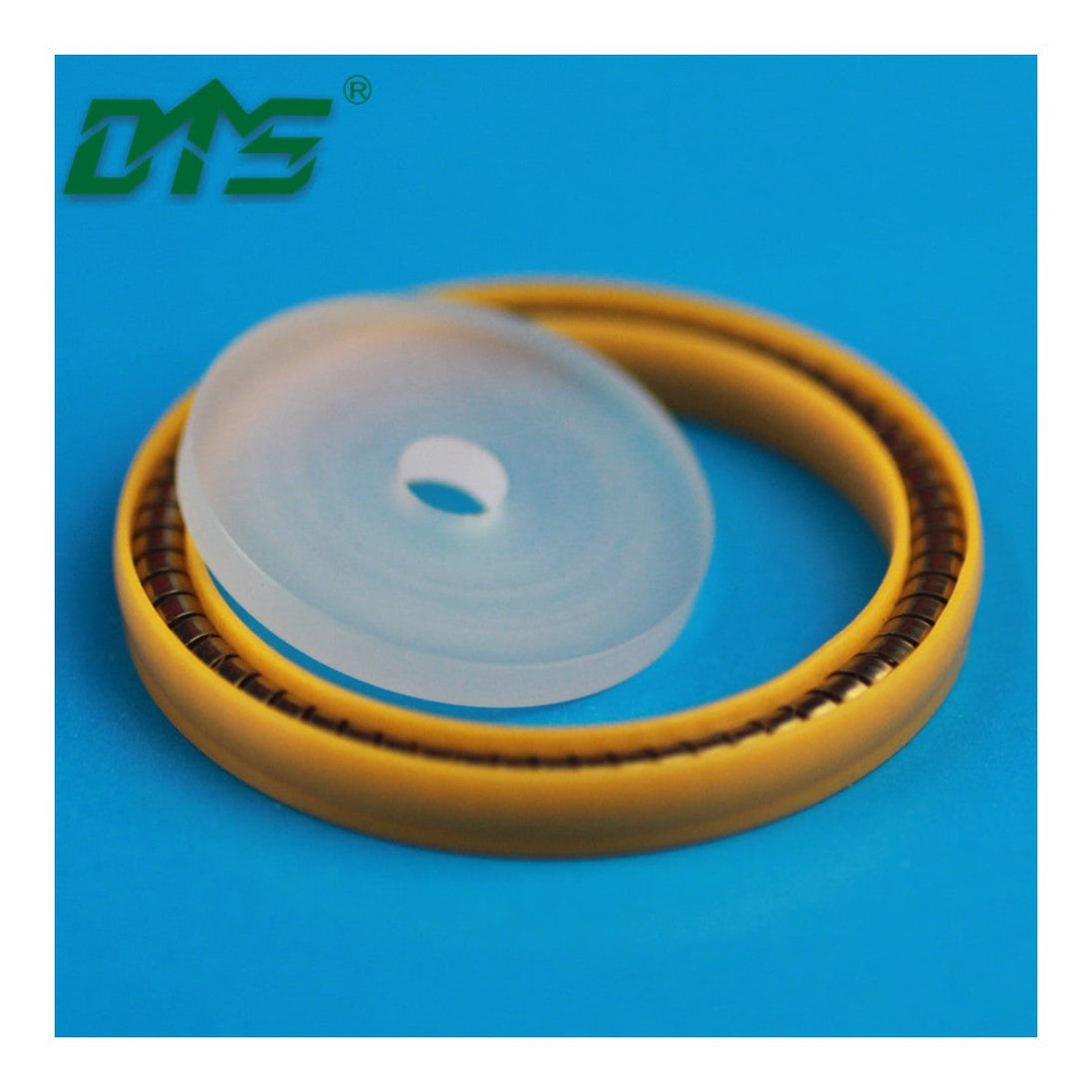 Rng-Oem Prt – Cntl Vlv,Main Seal,Pctfe