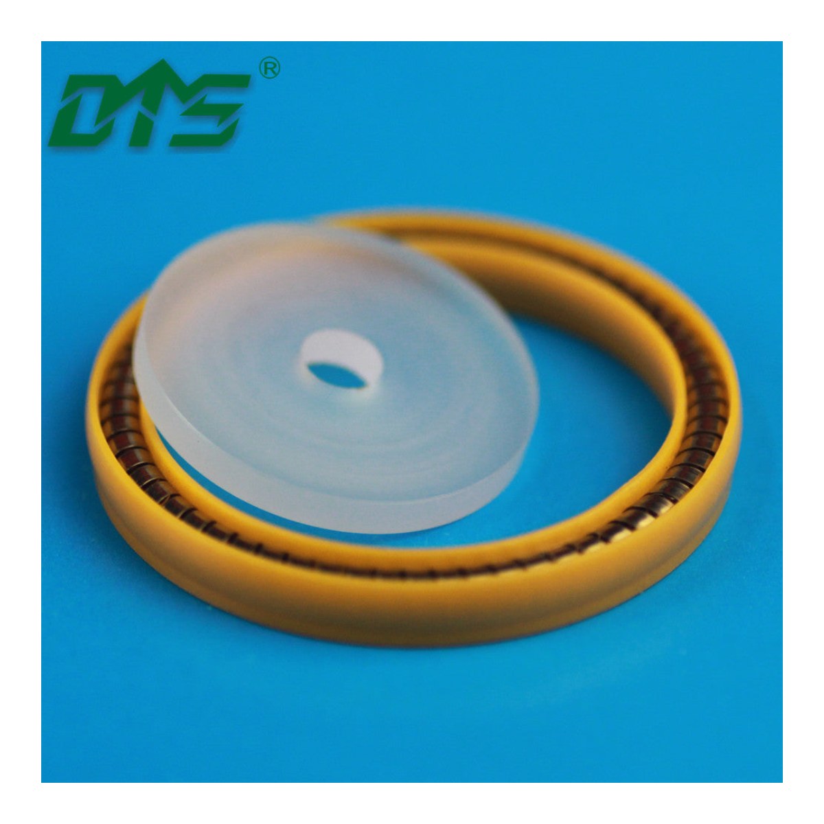 Rng-Oem Prt – Cntl Vlv,Main Seal,Pctfe