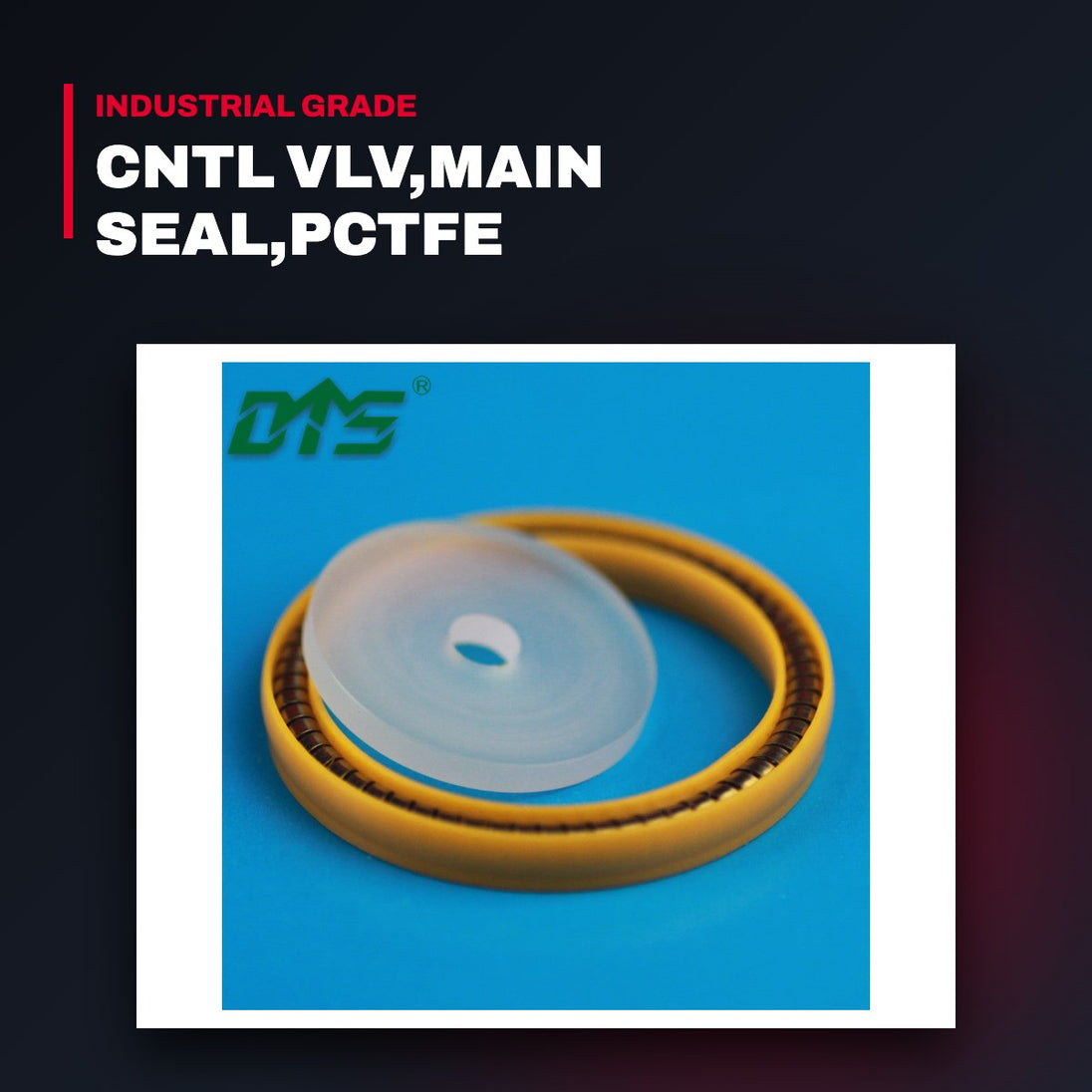 Rng-Oem Prt – Cntl Vlv,Main Seal,Pctfe