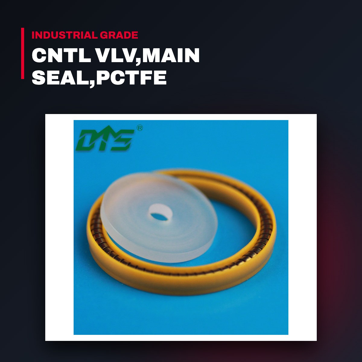 Rng-Oem Prt – Cntl Vlv,Main Seal,Pctfe