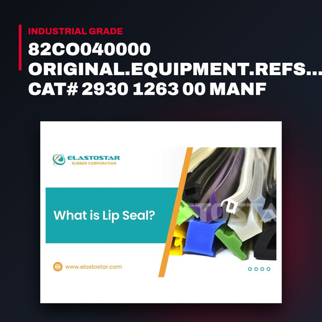 Seal – Lip Type