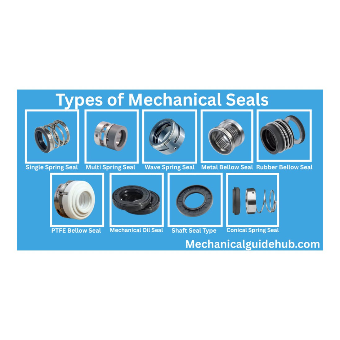 Seal – Set Of Seals Type