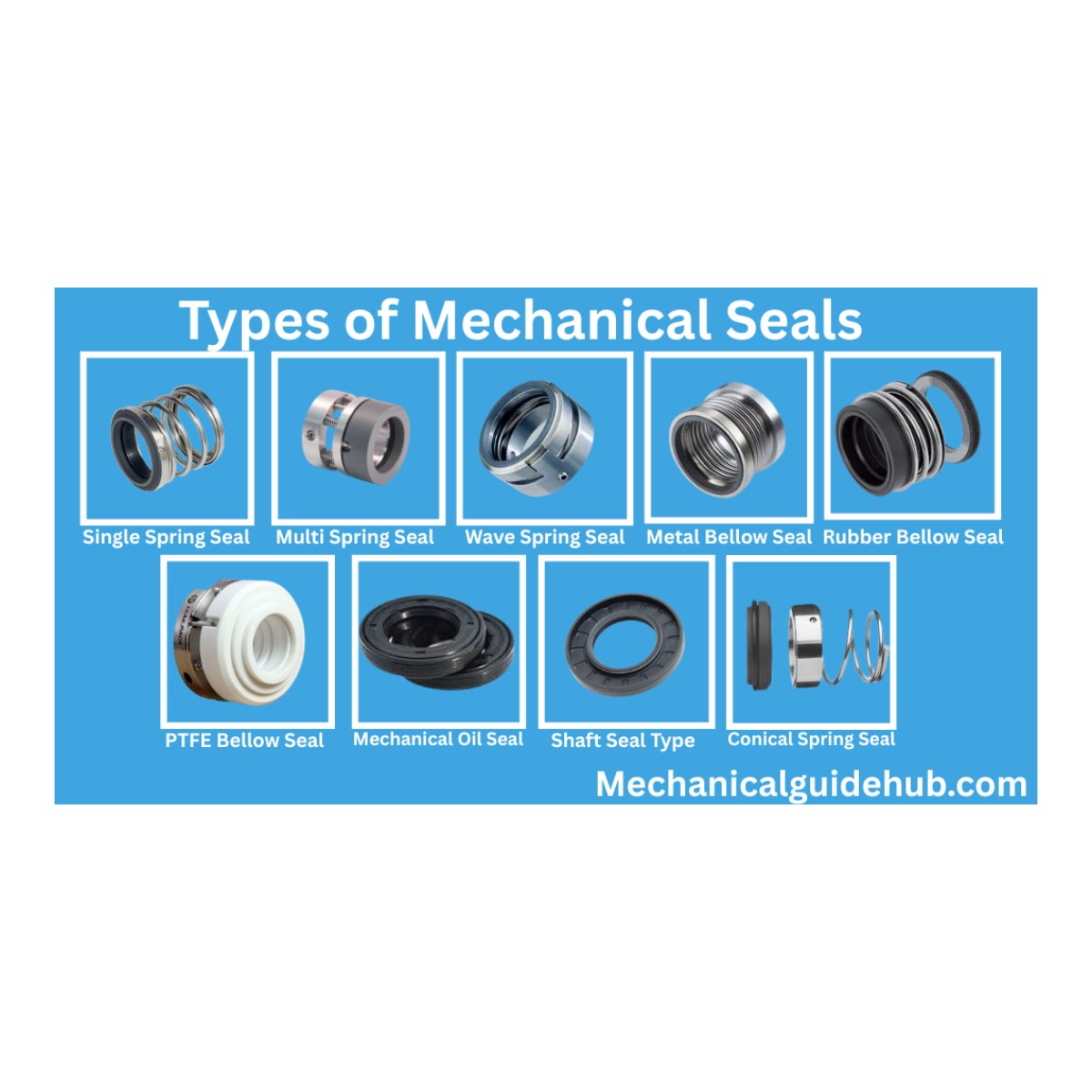 Seal – Set Of Seals Type