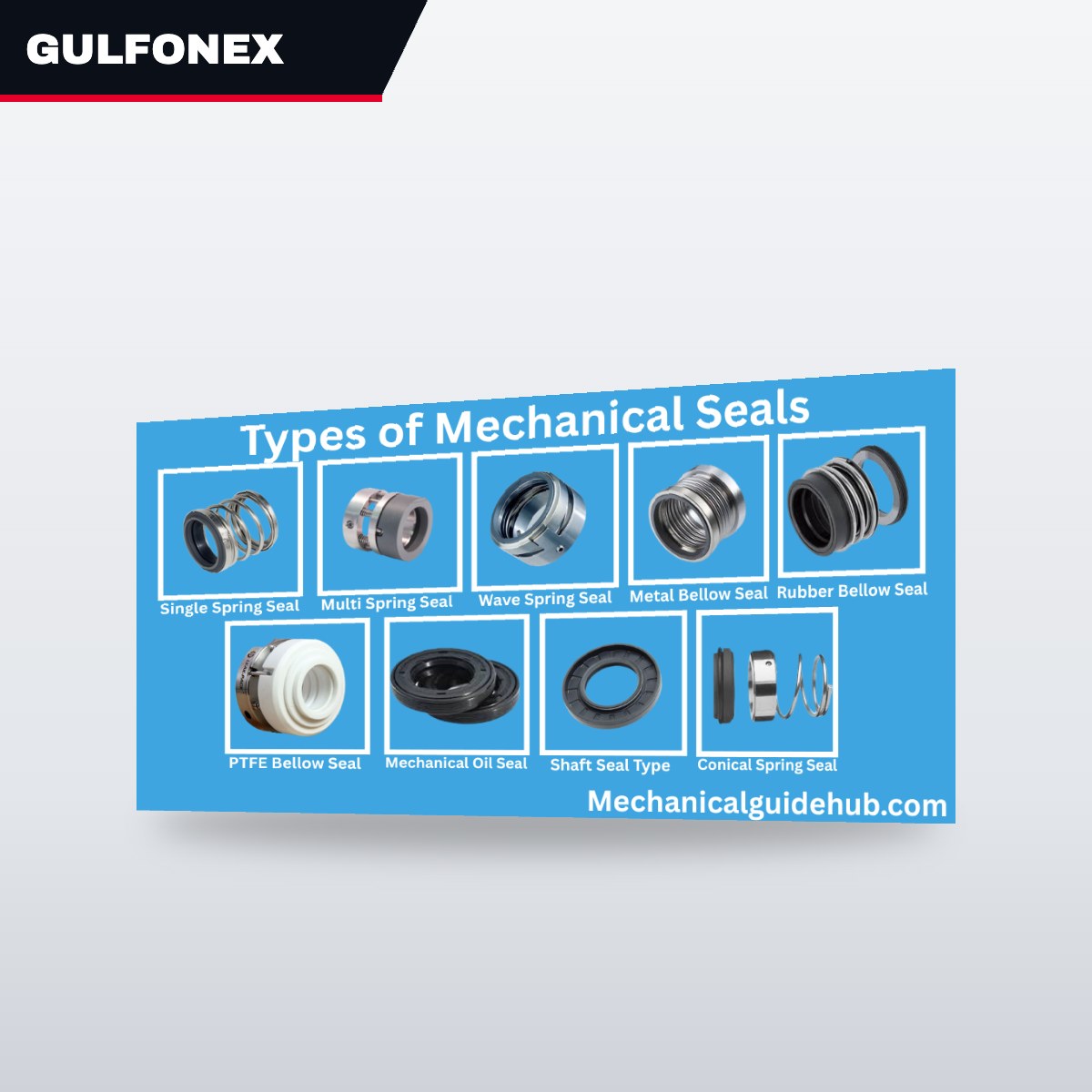 Seal – Set Of Seals Type