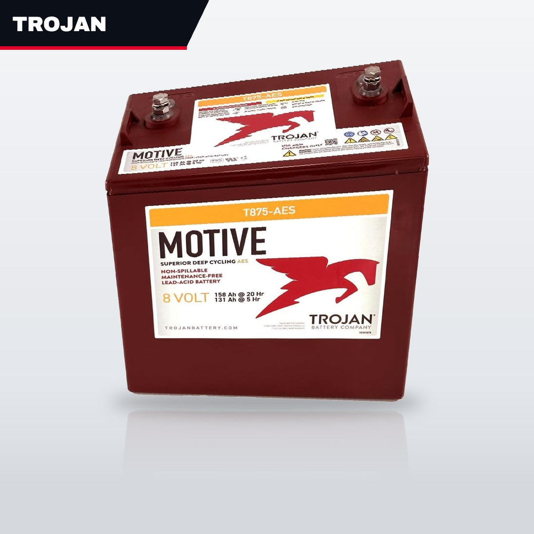 Trojan T875 – Battery – 8 Volt Trojan 875, (As Applicable