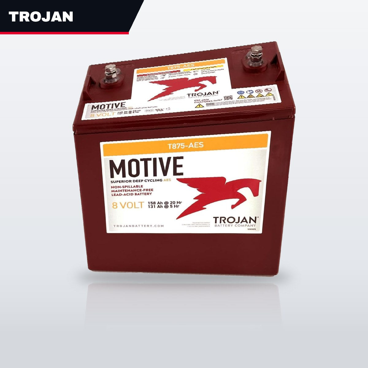 Trojan T875 – Battery – 8 Volt Trojan 875, (As Applicable