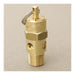 Valve Relief – Size 1/2 In, 100 Psi Set