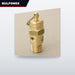 Valve Relief – Size 1/2 In, 100 Psi Set