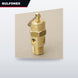 Valve Relief – Size 1/2 In, 100 Psi Set