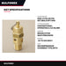 Valve Relief – Size 1/2 In, 100 Psi Set