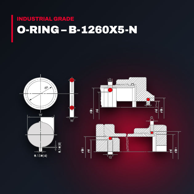 Voith – O-Ring, B-1260X5-N